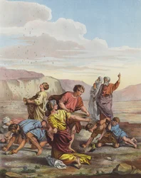 Hebrews Gathering Manna from Heaven in the Desert